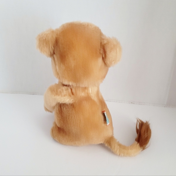 📌NA - Picture 10 of 12